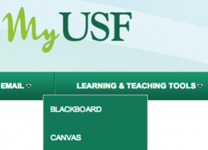 Shifting from Blackboard to Canvas